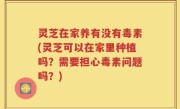 灵芝在家养有没有毒素(灵芝可以在家里种植吗？需要担心毒素问题吗？)