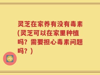灵芝在家养有没有毒素(灵芝可以在家里种植吗？需要担心毒素问题吗？)