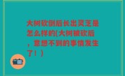 大树砍倒后长出灵芝是怎么样的(大树被砍后，意想不到的事情发生了！)