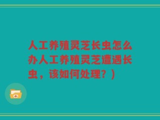 人工养殖灵芝长虫怎么办人工养殖灵芝遭遇长虫，该如何处理？)