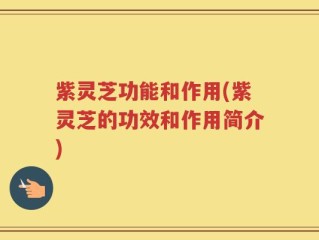 紫灵芝功能和作用(紫灵芝的功效和作用简介)