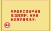 石头里长灵芝好不好养殖(深度解析：石头里长灵芝的养殖技巧)
