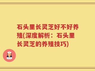 石头里长灵芝好不好养殖(深度解析：石头里长灵芝的养殖技巧)