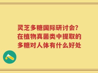 灵芝多糖国际研讨会？在植物真菌类中提取的多糖对人体有什么好处