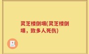 灵芝楼倒塌(灵芝楼倒塌，致多人死伤)