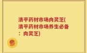 清平药材市场肉灵芝(清平药材市场养生必备：肉灵芝)