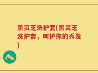 黑灵芝洗护套(黑灵芝洗护套，呵护你的秀发)
