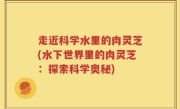 走近科学水里的肉灵芝(水下世界里的肉灵芝：探索科学奥秘)