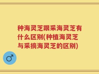 种海灵芝跟采海灵芝有什么区别(种植海灵芝与采摘海灵芝的区别)