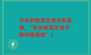 今年的新灵芝孢子粉基地_“年全新灵芝孢子粉种植基地”)