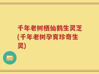 千年老树栖仙鹤生灵芝(千年老树孕育珍奇生灵)