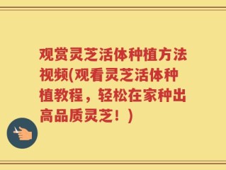 观赏灵芝活体种植方法视频(观看灵芝活体种植教程，轻松在家种出高品质灵芝！)