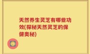 天然养生灵芝有哪些功效(探秘天然灵芝的保健奥秘)
