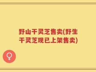 野山干灵芝售卖(野生干灵芝现已上架售卖)