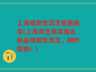 上海观赏性灵芝销售商家(上海灵芝商家推出新品观赏性灵芝，限时促销！)