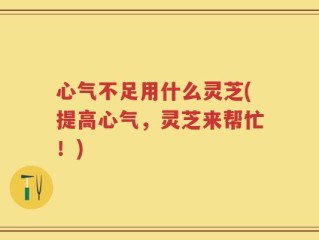 心气不足用什么灵芝(提高心气，灵芝来帮忙！)