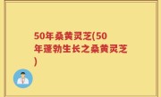 50年桑黄灵芝(50年蓬勃生长之桑黄灵芝)