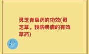 灵芝青草药的功效(灵芝草，预防疾病的有效草药)