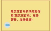 黑灵芝首乌的功效和作用(黑灵芝首乌：双倍营养、加倍健康)