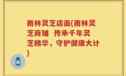 雨林灵芝店面(雨林灵芝商铺  传承千年灵芝精华，守护健康大计)