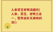 人参灵芝老鸭汤图片(人参、灵芝、老鸭三合一，营养滋补又美味的汤!)