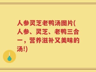 人参灵芝老鸭汤图片(人参、灵芝、老鸭三合一，营养滋补又美味的汤!)