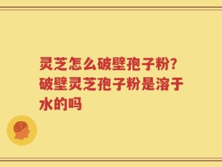 灵芝怎么破壁孢子粉？破壁灵芝孢子粉是溶于水的吗