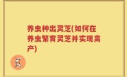 养虫种出灵芝(如何在养虫繁育灵芝并实现高产)