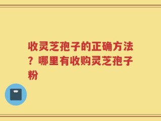 收灵芝孢子的正确方法？哪里有收购灵芝孢子粉