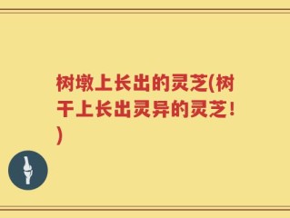 树墩上长出的灵芝(树干上长出灵异的灵芝！)
