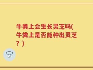 牛粪上会生长灵芝吗(牛粪上是否能种出灵芝？)
