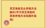 灵芝海棠怎么养殖方法图片(学习灵芝海棠的简易养殖方法及图片指南)