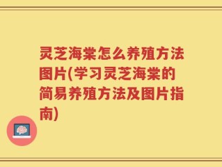 灵芝海棠怎么养殖方法图片(学习灵芝海棠的简易养殖方法及图片指南)