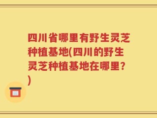 四川省哪里有野生灵芝种植基地(四川的野生灵芝种植基地在哪里？)