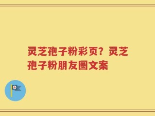 灵芝孢子粉彩页？灵芝孢子粉朋友圈文案