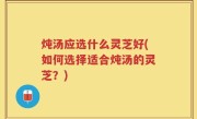 炖汤应选什么灵芝好(如何选择适合炖汤的灵芝？)
