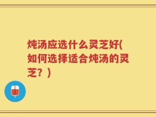 炖汤应选什么灵芝好(如何选择适合炖汤的灵芝？)