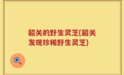 韶关的野生灵芝(韶关发现珍稀野生灵芝)