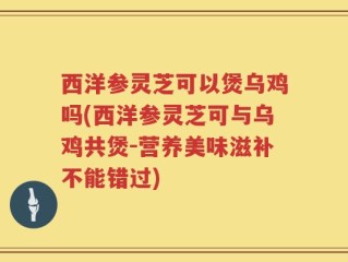 西洋参灵芝可以煲乌鸡吗(西洋参灵芝可与乌鸡共煲-营养美味滋补不能错过)