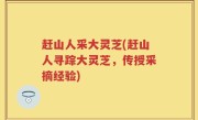 赶山人采大灵芝(赶山人寻踪大灵芝，传授采摘经验)