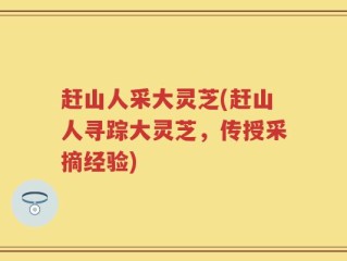 赶山人采大灵芝(赶山人寻踪大灵芝，传授采摘经验)