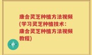 康合灵芝种植方法视频(学习灵芝种植技术：康合灵芝种植方法视频教程)