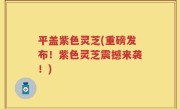 平盖紫色灵芝(重磅发布！紫色灵芝震撼来袭！)