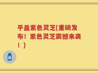 平盖紫色灵芝(重磅发布！紫色灵芝震撼来袭！)