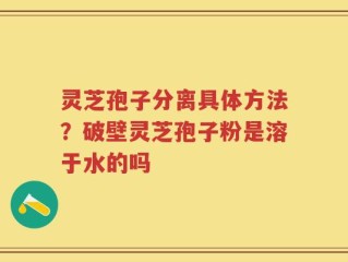 灵芝孢子分离具体方法？破壁灵芝孢子粉是溶于水的吗