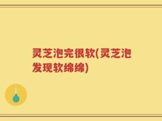 灵芝泡完很软(灵芝泡发现软绵绵)