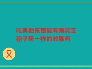 吃其他东西能有跟灵芝孢子粉一样的效果吗