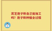 灵芝孢子粉自己能加工吗？孢子粉种植全过程