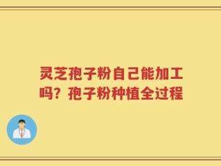 灵芝孢子粉自己能加工吗？孢子粉种植全过程