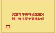 灵芝孢子粉和板蓝根冲剂?野生灵芝繁殖快吗